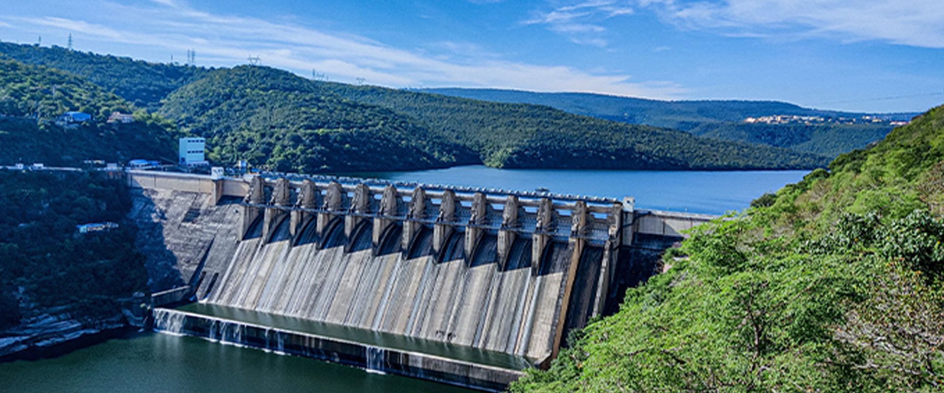 ������Ͽ